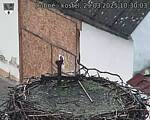 Capi_Dubne_20250329_103003.jpg