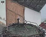 Capi_Dubne_20250329_104002.jpg