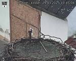 Capi_Dubne_20250329_104504.jpg