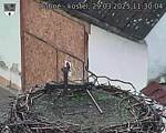 Capi_Dubne_20250329_113004.jpg