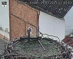 Capi_Dubne_20250329_114003.jpg