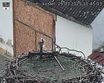 Capi_Dubne_20250329_114503.jpg