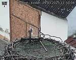 Capi_Dubne_20250329_115004.jpg