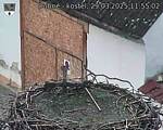Capi_Dubne_20250329_115502.jpg