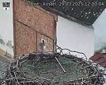 Capi_Dubne_20250329_120004.jpg