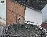 Capi_Dubne_20250329_123003.jpg