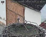 Capi_Dubne_20250329_124003.jpg