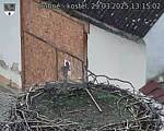 Capi_Dubne_20250329_131502.jpg