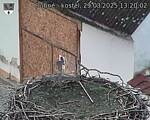 Capi_Dubne_20250329_132002.jpg