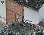 Capi_Dubne_20250329_141502.jpg