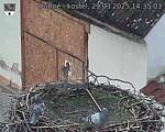 Capi_Dubne_20250329_143503.jpg