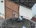 Capi_Dubne_20250329_145502.jpg