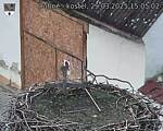 Capi_Dubne_20250329_150502.jpg