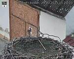 Capi_Dubne_20250329_152003.jpg