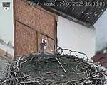 Capi_Dubne_20250329_160003.jpg
