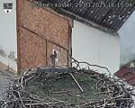 Capi_Dubne_20250329_161504.jpg