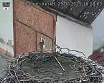 Capi_Dubne_20250329_162003.jpg