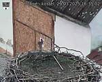 Capi_Dubne_20250329_163502.jpg