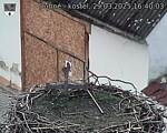 Capi_Dubne_20250329_164003.jpg