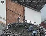 Capi_Dubne_20250329_170503.jpg