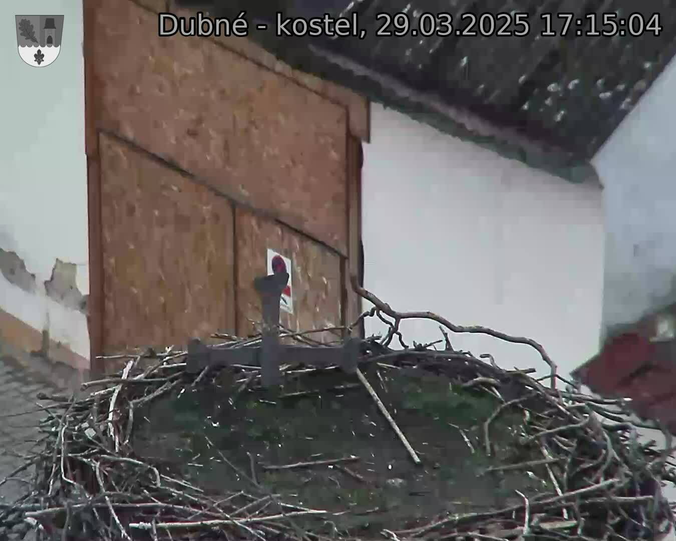 Capi_Dubne_20250329_171504.jpg (1350 x 1080)