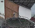 Capi_Dubne_20250329_171504.jpg