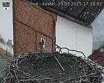 Capi_Dubne_20250329_172002.jpg