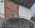Capi_Dubne_20250329_172503.jpg