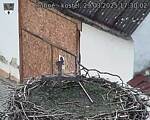 Capi_Dubne_20250329_173002.jpg