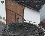 Capi_Dubne_20250329_175002.jpg