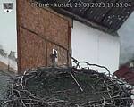 Capi_Dubne_20250329_175504.jpg