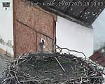 Capi_Dubne_20250329_181003.jpg
