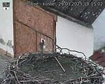 Capi_Dubne_20250329_181502.jpg