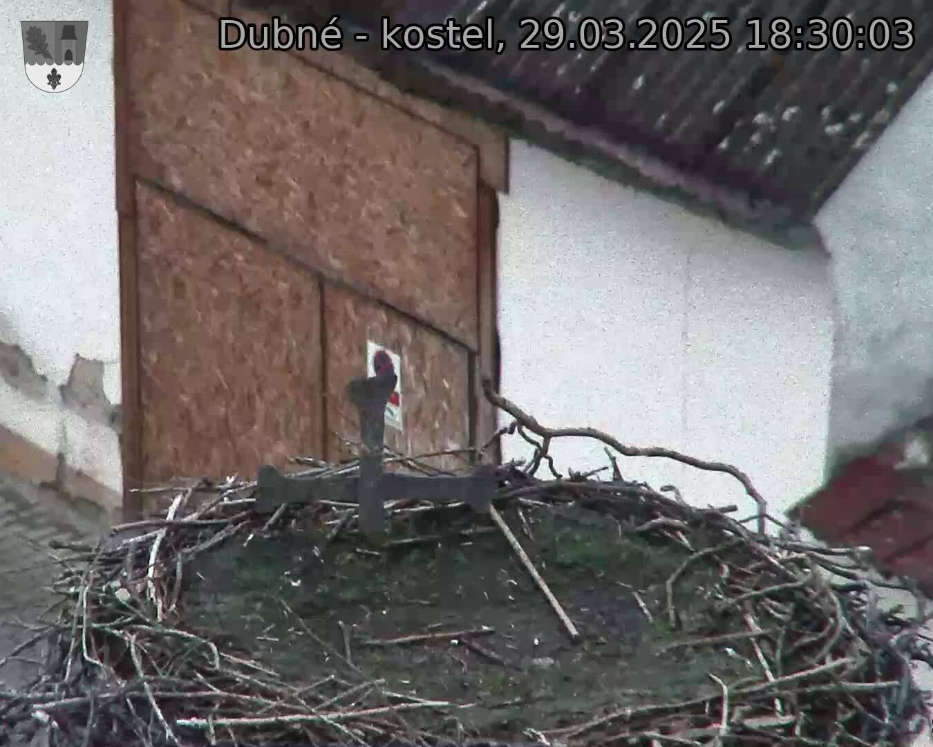 Capi_Dubne_20250329_183003.jpg (1350 x 1080)
