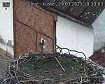 Capi_Dubne_20250329_183003.jpg