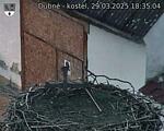 Capi_Dubne_20250329_183504.jpg