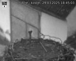 Capi_Dubne_20250329_184503.jpg