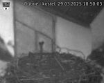 Capi_Dubne_20250329_185003.jpg