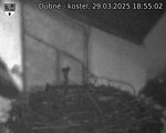Capi_Dubne_20250329_185502.jpg
