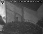 Capi_Dubne_20250329_190003.jpg