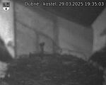 Capi_Dubne_20250329_193503.jpg