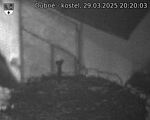 Capi_Dubne_20250329_202003.jpg