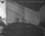 Capi_Dubne_20250329_214002.jpg