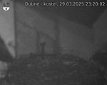 Capi_Dubne_20250329_232002.jpg