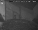 Capi_Dubne_20250329_234003.jpg