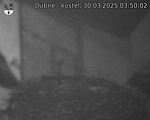 Capi_Dubne_20250330_035002.jpg