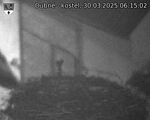 Capi_Dubne_20250330_061502.jpg