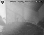 Capi_Dubne_20250330_062002.jpg