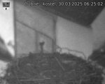 Capi_Dubne_20250330_062502.jpg