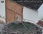 Capi_Dubne_20250330_075504.jpg
